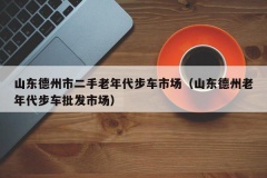 山东德州市二手老年代步车市场（山东德州老年代步车批发市场）