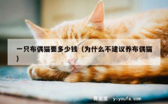 一只布偶猫要多少钱（为什么不建议养布偶猫）