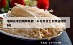 电烤盘家庭烧烤食材（用电烤盘怎么做烧烤视频）