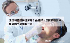 法国和德国种植牙哪个品牌好（法国和德国种植牙哪个品牌好一点）