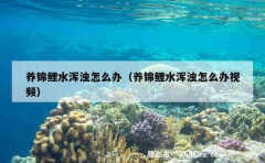 养锦鲤水浑浊怎么办（养锦鲤水浑浊怎么办视频）