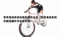 东风电动车的价格及图片大全（东风电动车的价格及图片大全及价格