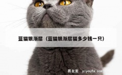 蓝猫银渐层（蓝猫银渐层猫多少钱一只）