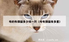 母的布偶猫多少钱一只（母布偶猫有多重）