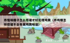 养殖场棚子怎么搭建才好处理鸡粪（养鸡棚怎样搭建不会有臭鸡粪味