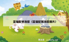 蓝猫配银渐层（蓝猫配银渐层图片）