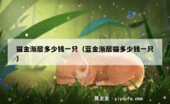 猫金渐层多少钱一只（蓝金渐层猫多少钱一只）