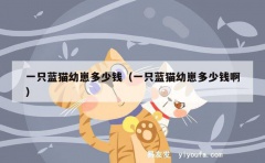 一只蓝猫幼崽多少钱（一只蓝猫幼崽多少钱啊）