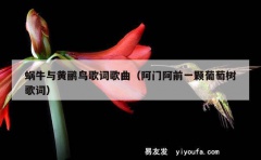 蜗牛与黄鹂鸟歌词歌曲（阿门阿前一颗葡萄树歌词）