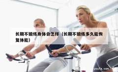 长期不锻炼身体会怎样（长期不锻炼多久能恢复体能）