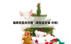 猫英短蓝白价格（英短蓝白猫 价格）