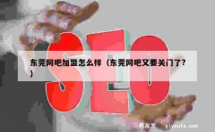 东莞网吧加盟怎么样（东莞网吧又要关门了?）