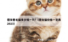 德文卷毛猫多少钱一只?（德文猫价格一览表2023）