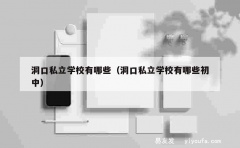 洞口私立学校有哪些（洞口私立学校有哪些初中）