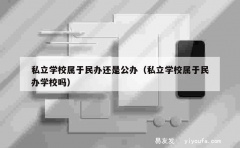 私立学校属于民办还是公办（私立学校属于民办学校吗）