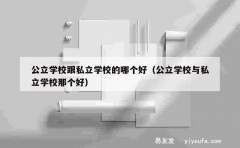 公立学校跟私立学校的哪个好（公立学校与私立学校那个好）