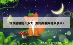 银渐层猫能长多大（银渐层猫咪能长多大）