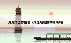 河滩改造养殖场（河滩地能做养殖场吗）