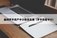 曲靖罗平房产中介新房出售（罗平房屋中介）