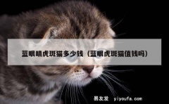 蓝眼睛虎斑猫多少钱（蓝眼虎斑猫值钱吗）