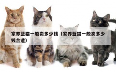 家养蓝猫一般卖多少钱（家养蓝猫一般卖多少钱合适）