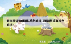 银渐层猫流眼泪红棕色眼泪（银渐层流红褐色眼泪）