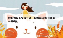 纯布偶猫多少钱一只（布偶猫1000元能买一只吗）