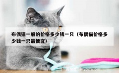 布偶猫一般的价格多少钱一只（布偶猫价格多少钱一只最便宜）