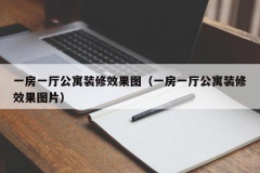 一房一厅公寓装修效果图（一房一厅公寓装修效果图片）