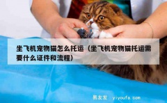 坐飞机宠物猫怎么托运（坐飞机宠物猫托运需要什么证件和流程）