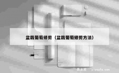 盆栽葡萄修剪（盆栽葡萄修剪方法）