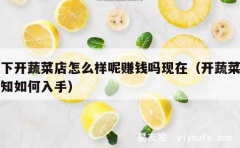 当下开蔬菜店怎么样呢赚钱吗现在（开蔬菜店不知如何入手）