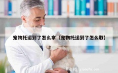 宠物托运到了怎么拿（宠物托运到了怎么取）