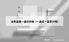 山东盆栽一品红价格（一品红一盆多少钱）