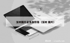 玉树图片盆景及价格（玉树 图片）