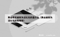 黄山奇石被称为活化石的是什么（黄山被称为活化石的有哪些）