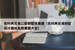 农村两兄弟二层别墅效果图（农村两兄弟别墅设计图纸及效果图大全