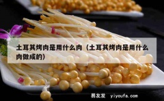 土耳其烤肉是用什么肉（土耳其烤肉是用什么肉做成的）