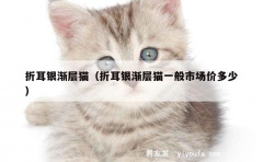 折耳银渐层猫（折耳银渐层猫一般市场价多少）