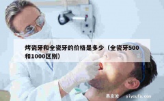 烤瓷牙和全瓷牙的价格是多少（全瓷牙500和1000区别）