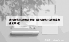 沈阳轿车托运哪家专业（沈阳轿车托运哪家专业公司好）