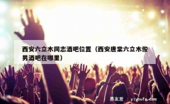 西安六立木同志酒吧位置（西安唐棠六立木俊男酒吧在哪里）