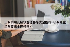 三岁的幼儿应该座怎样车安全座椅（3岁儿童坐车要安全座椅吗）