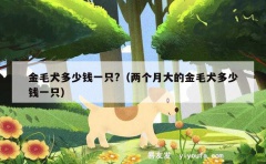 金毛犬多少钱一只?（两个月大的金毛犬多少钱一只）