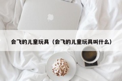 会飞的儿童玩具（会飞的儿童玩具叫什么）