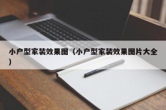 小户型家装效果图（小户型家装效果图片大全）