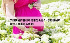 孕妇便秘严重拉不出来怎么办?（孕妇便秘严重拉不出来怎么办呢）