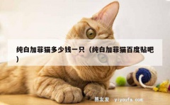 纯白加菲猫多少钱一只（纯白加菲猫百度贴吧）