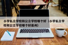 小学私立学校和公立学校哪个好（小学私立学校和公立学校哪个好泉