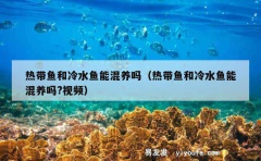 热带鱼和冷水鱼能混养吗（热带鱼和冷水鱼能混养吗?视频）